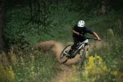 Orbea Wild M20 -Polkupyörät Lagra ORWIFSM205